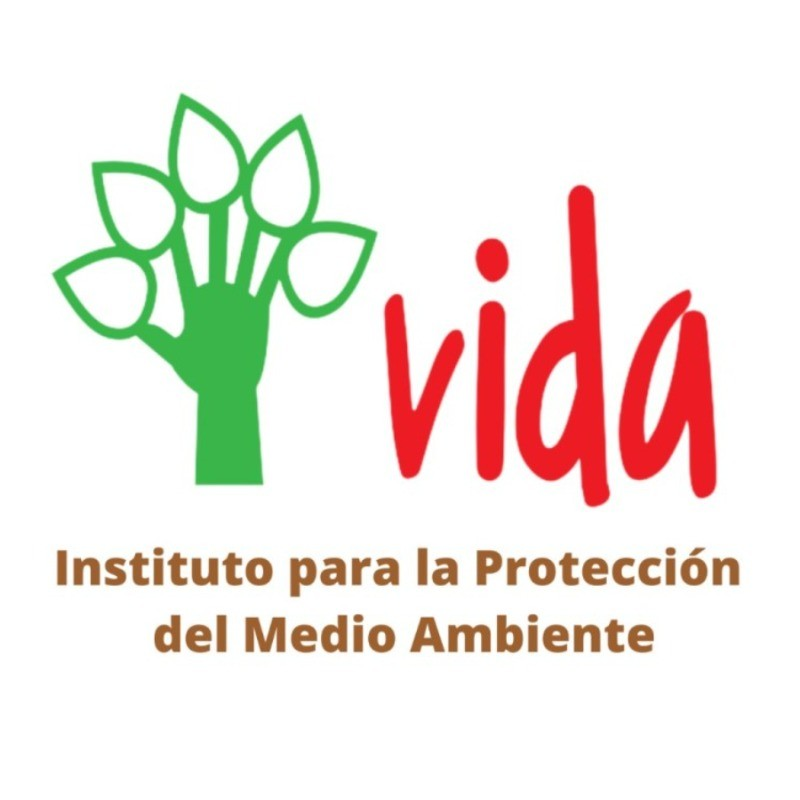 ong_vida_logo